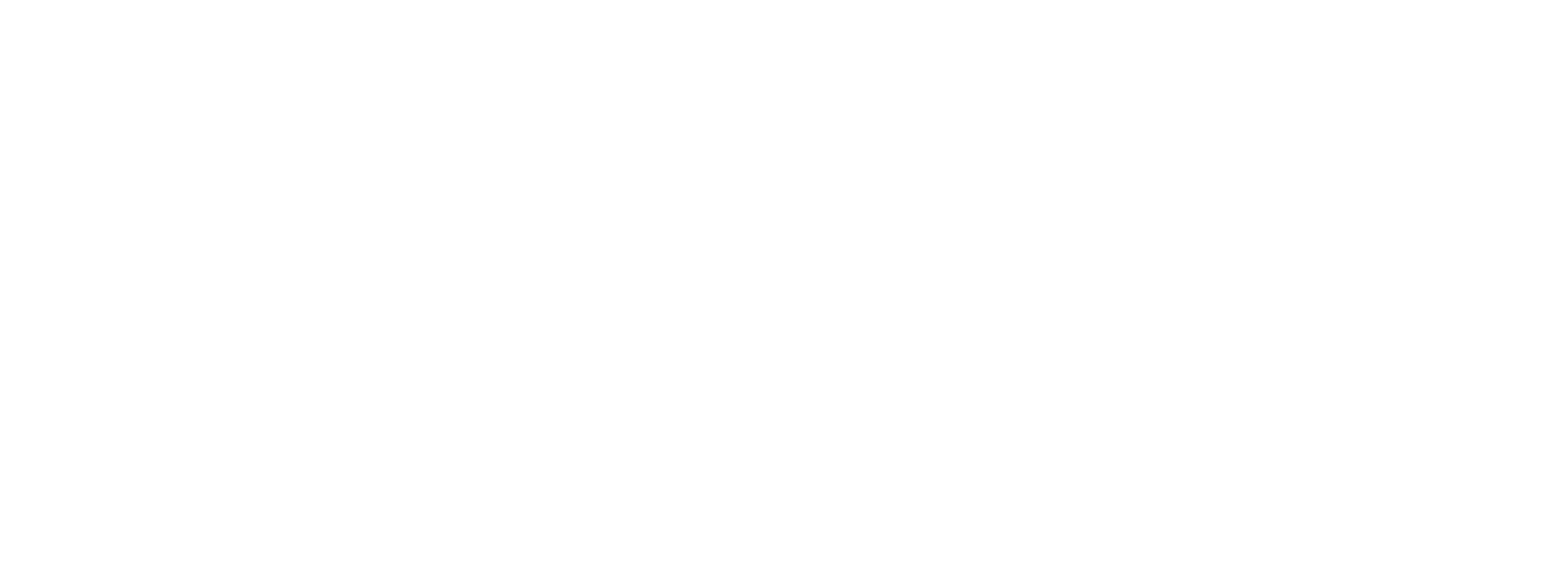 Leon Group